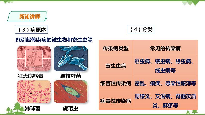 冀教版生物七下2.6.2疾病与预防（课件+教案+练习+视频）05