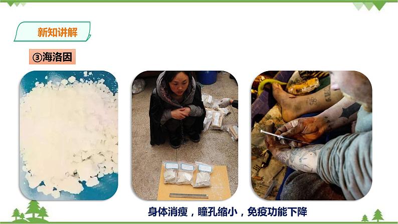 冀教版生物七下2.6.4珍爱生命 拒绝毒品（课件+教案+练习+视频）06