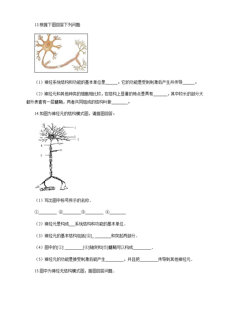 4.2 信息的传递（课件+教案+练习+视频）03