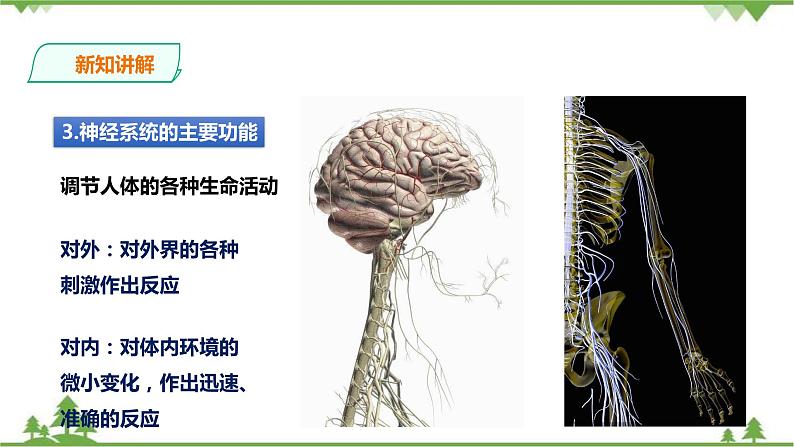 4.2 信息的传递（课件+教案+练习+视频）08