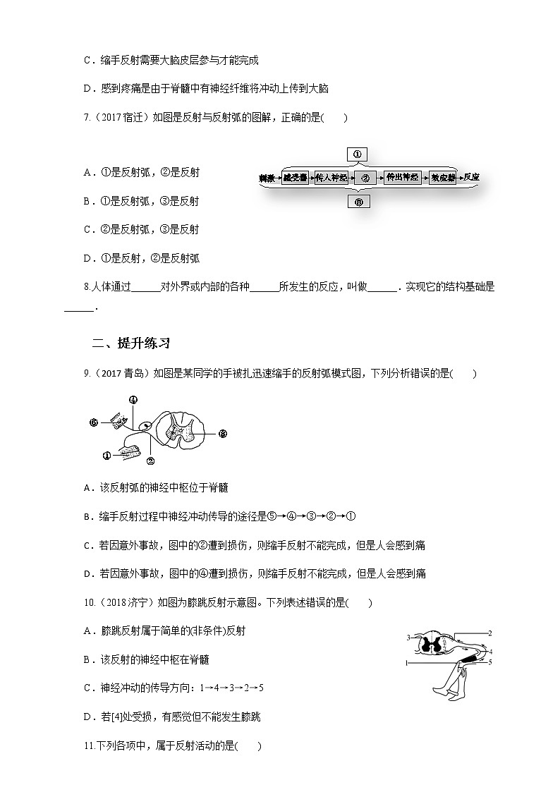 冀教版生物七下2.4.3 信息的处理 第1课时（课件+教案+练习+视频）02