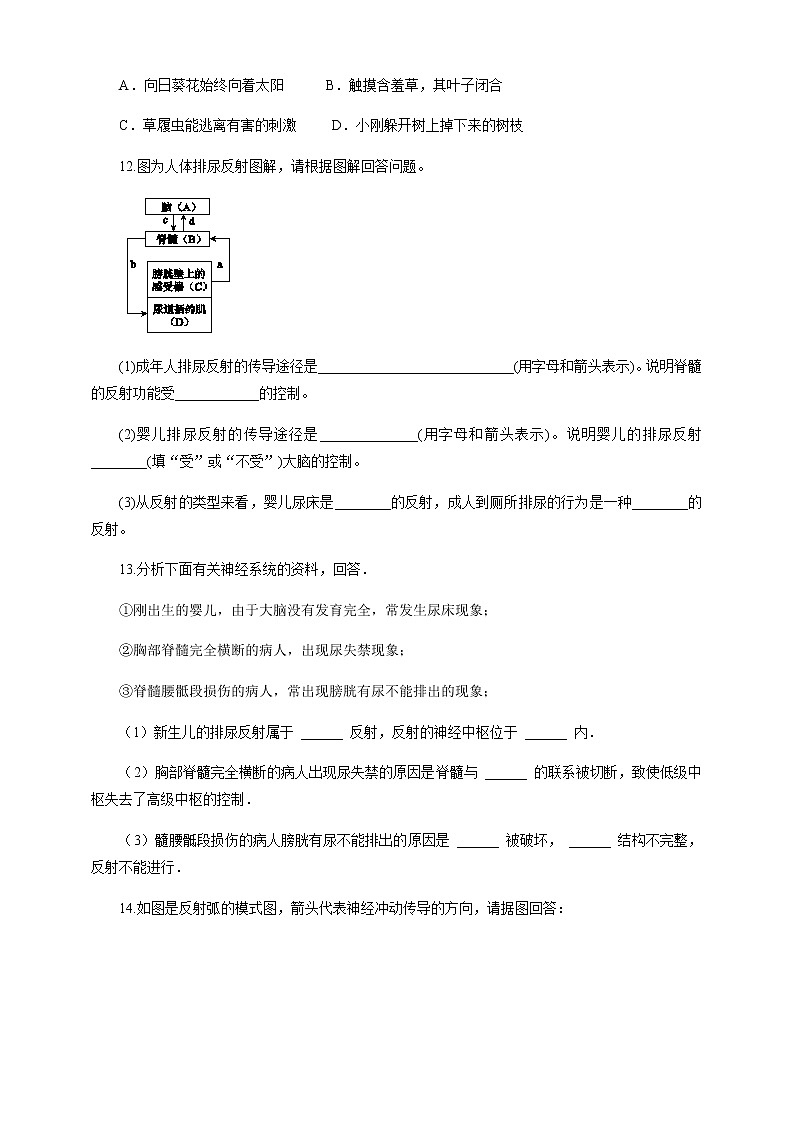 冀教版生物七下2.4.3 信息的处理 第1课时（课件+教案+练习+视频）03