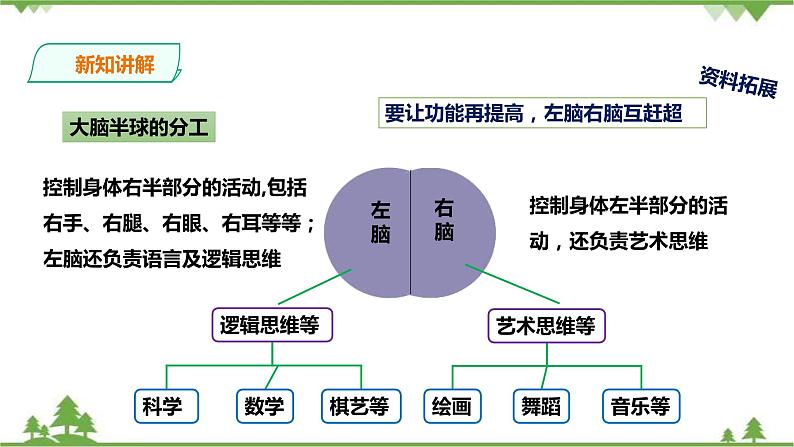 冀教版生物七下2.4.4 合理用脑（课件+教案+练习+视频）07