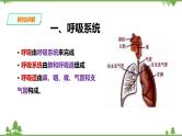 冀教版生物七下2.3.1呼吸（1）（课件+教案+练习+视频）