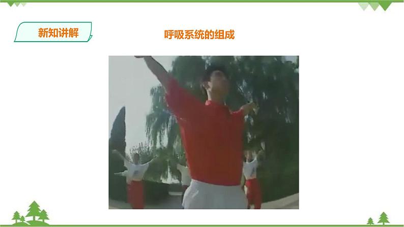 冀教版生物七下2.3.1呼吸（1）（课件+教案+练习+视频）04