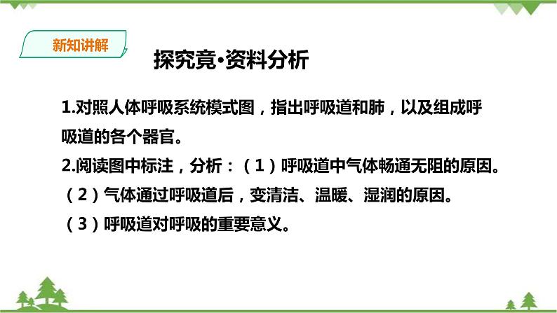 冀教版生物七下2.3.1呼吸（1）（课件+教案+练习+视频）05