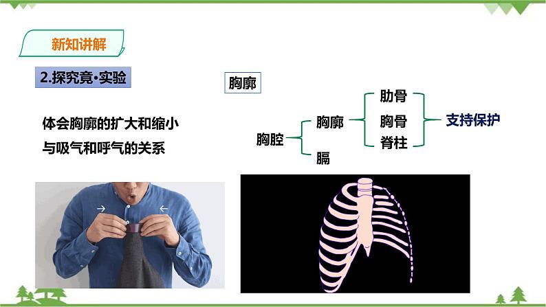 冀教版七年生物下册2.3.1 呼吸 第2课时（课件+教案+练习+视频）04