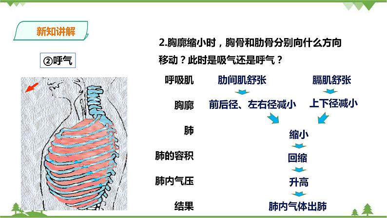 冀教版七年生物下册2.3.1 呼吸 第2课时（课件+教案+练习+视频）07