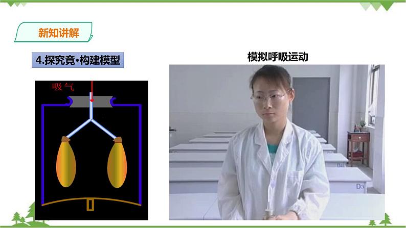 冀教版七年生物下册2.3.1 呼吸 第2课时（课件+教案+练习+视频）08