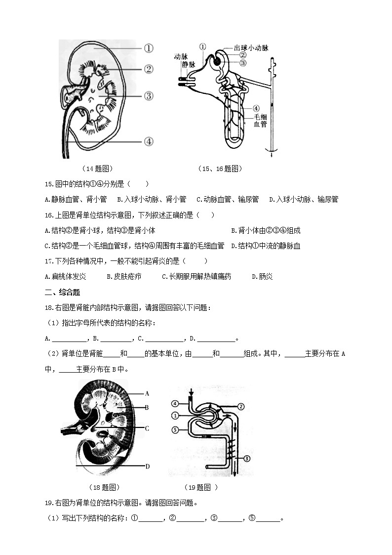 冀教版生物七下2.3.2排泄（1）（课件+教案+练习）02