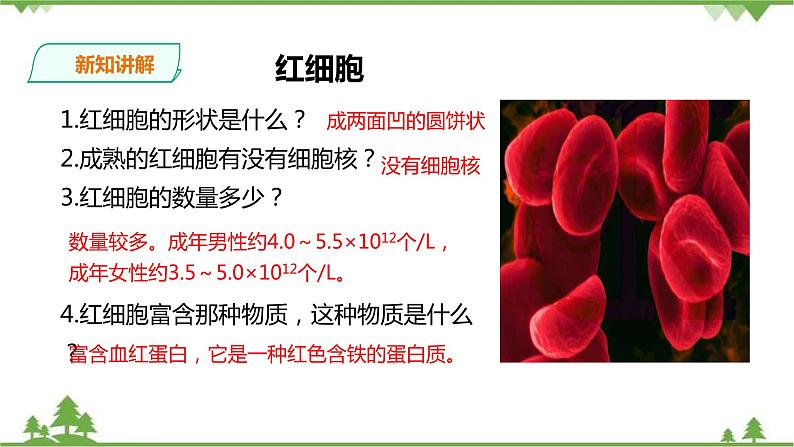 冀教版生物七下2.2.1 物质运输的载体（1）（课件+教案+练习+视频）07