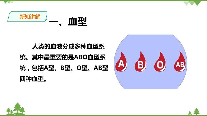 冀教版生物七下2.2.1 物质运输的载体（2）（课件+教案+练习+视频）03