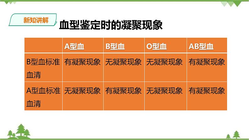 冀教版生物七下2.2.1 物质运输的载体（2）（课件+教案+练习+视频）05