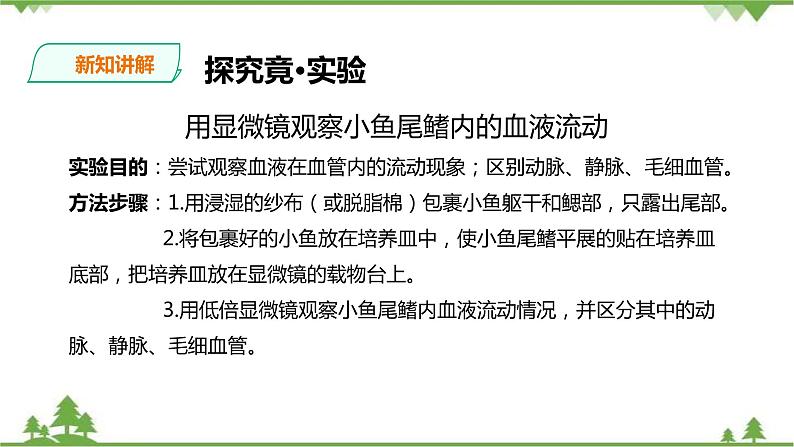 冀教版生物七下2.2.2 物质运输的器官（1）（课件+教案+练习+视频）07