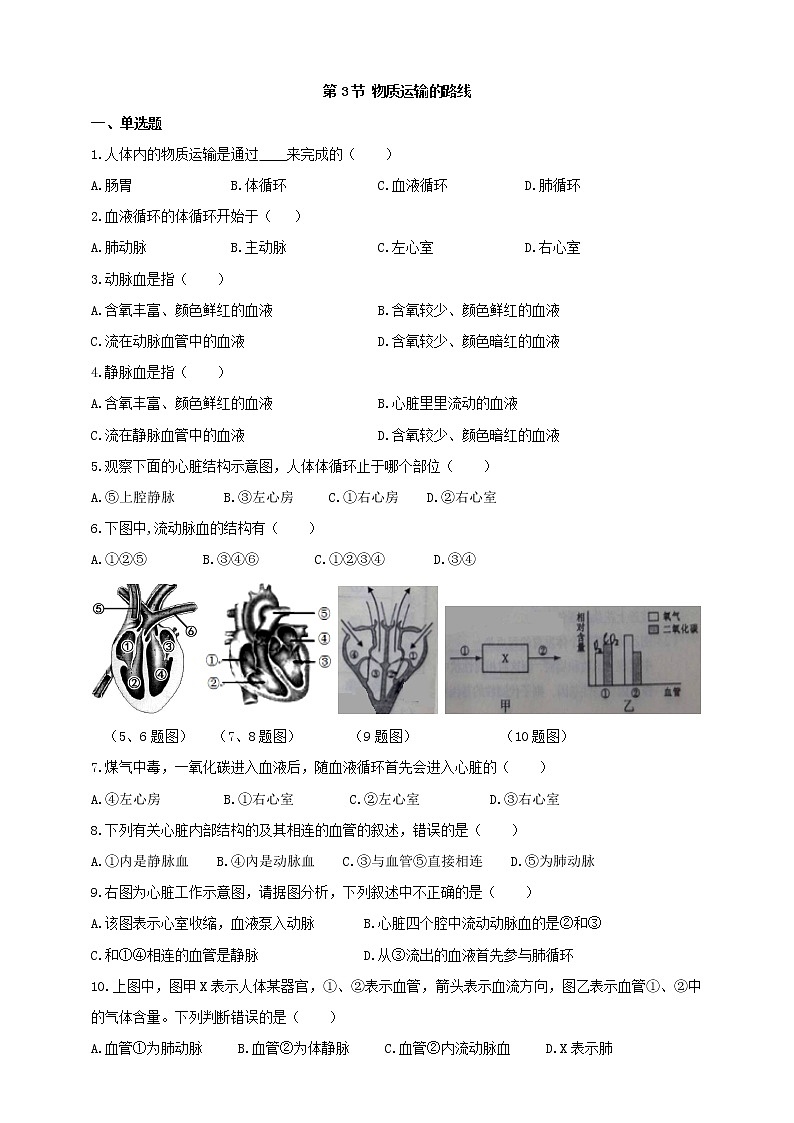 冀教版生物七下2.2.3 物质运输的路线（课件+教案+练习+视频）01