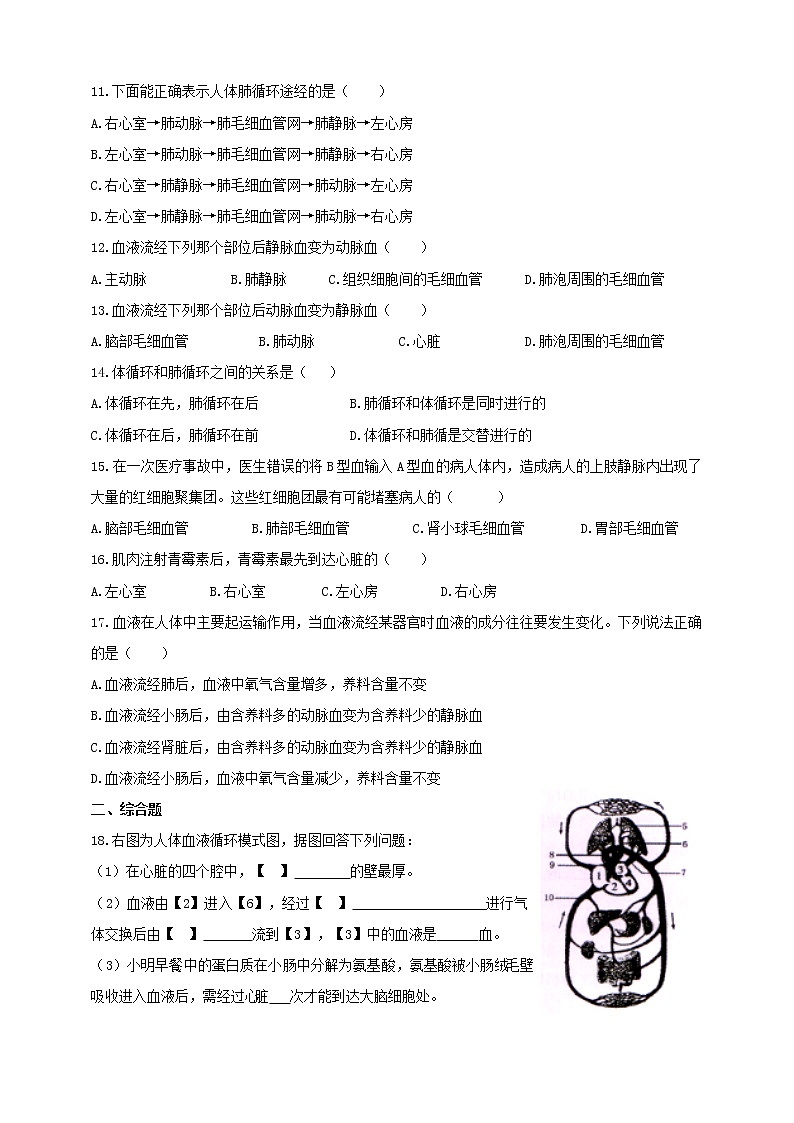 冀教版生物七下2.2.3 物质运输的路线（课件+教案+练习+视频）02