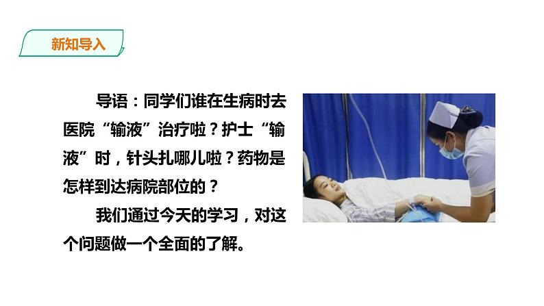 冀教版生物七下2.2.3 物质运输的路线（课件+教案+练习+视频）02