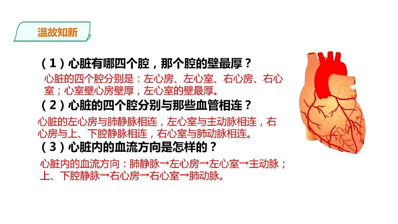 冀教版生物七下2.2.3 物质运输的路线（课件+教案+练习+视频）03