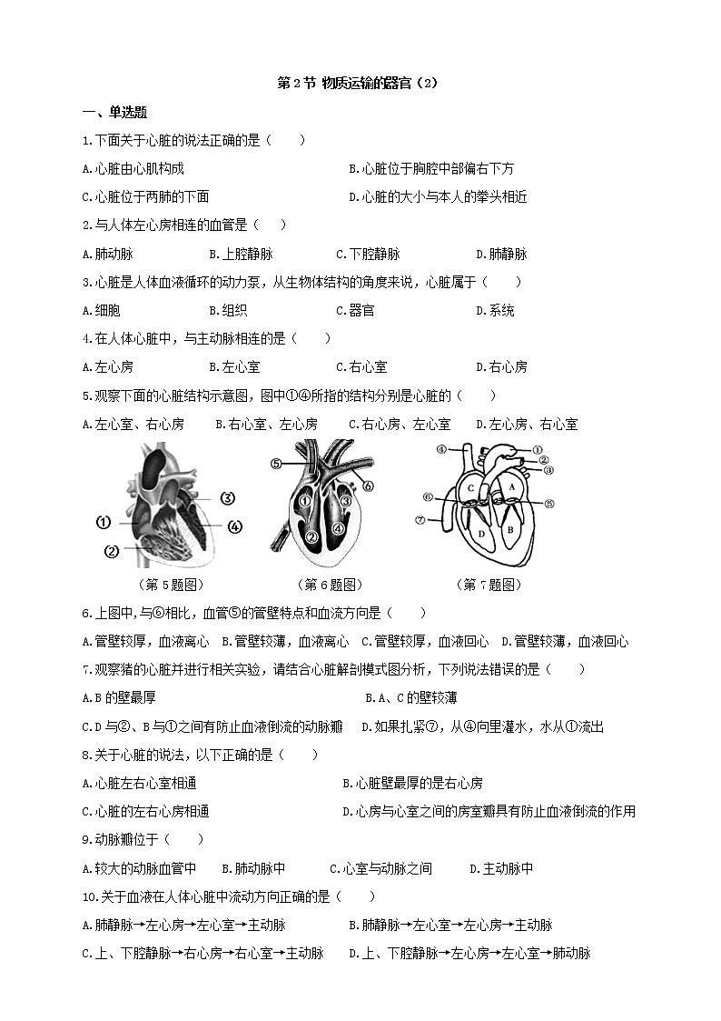 冀教版生物七下2.2.2物质运输的器官（2）（课件+教案+练习+视频）01