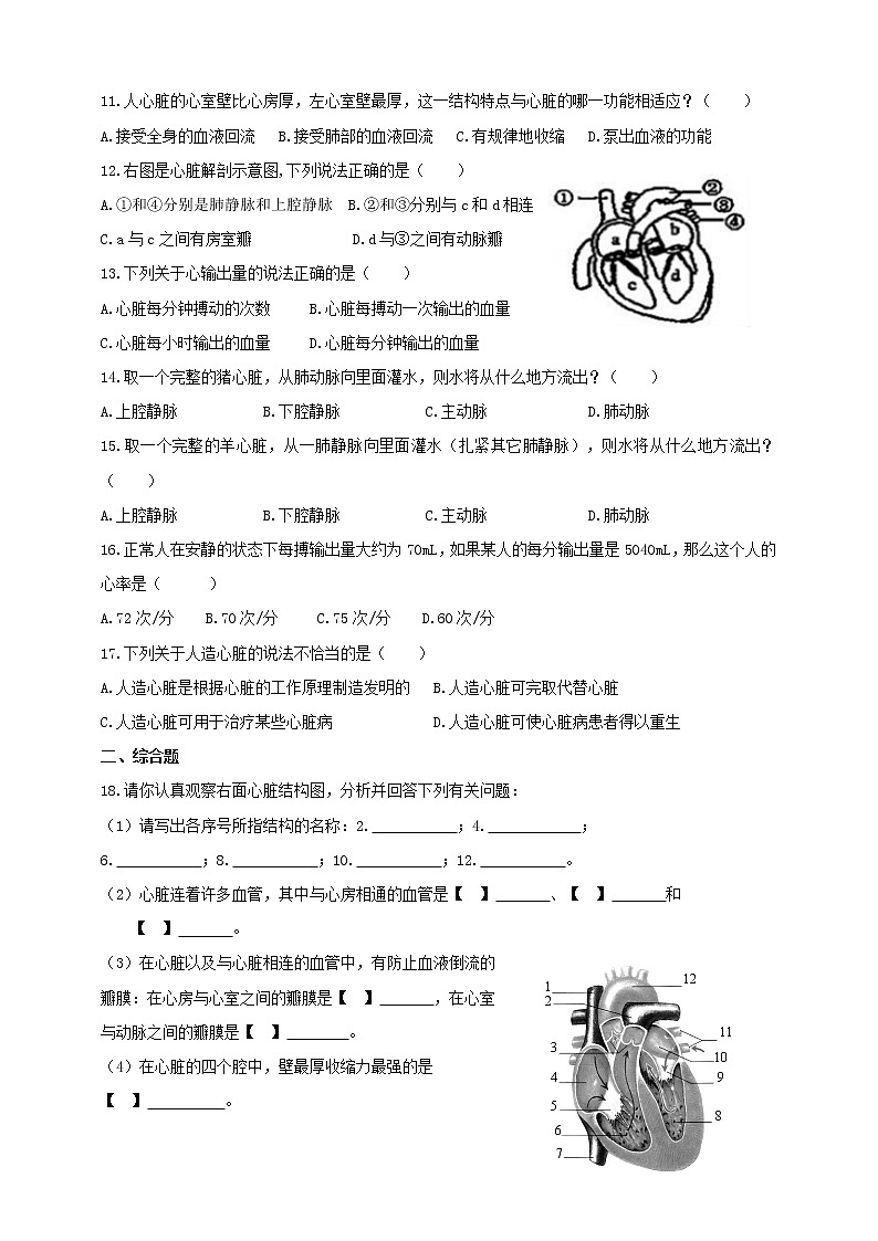 冀教版生物七下2.2.2物质运输的器官（2）（课件+教案+练习+视频）02