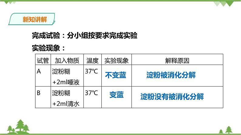 冀教版生物七下2.1.2 食物的消化（第一课时）课件+教案+练习07