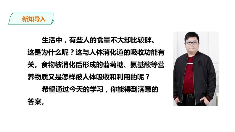 冀教版生物七下2.1.3 营养物质的吸收和利用（课件+教案+练习）03