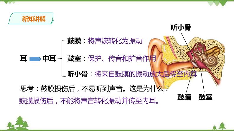 冀教版生物七下2.4.1信息的获取（2）（课件+教案+练习+视频）08