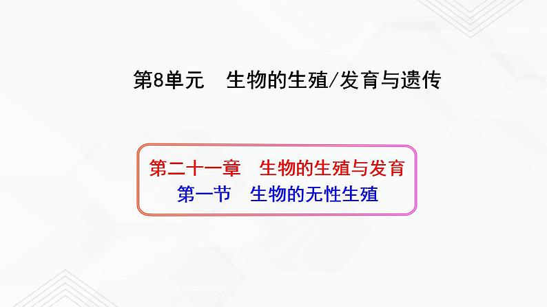 苏教版生物八年级下册 生物的无性生殖 课件PPT01