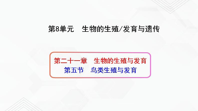 苏教版生物八年级下册 鸟类的生殖与发育 课件PPT01