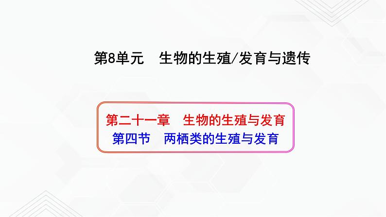 苏教版生物八年级下册 两栖类的生殖与发育 课件PPT01