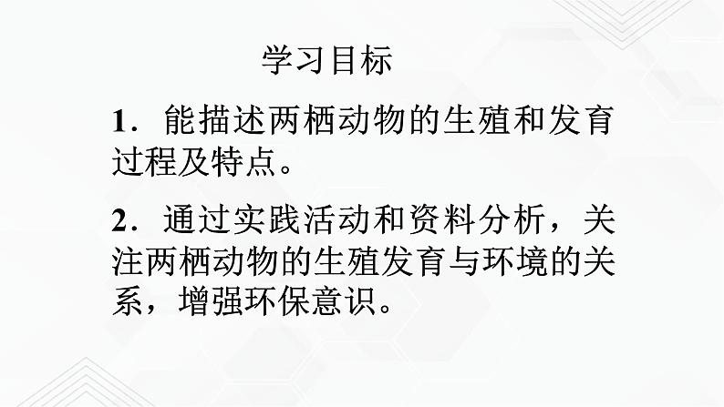 苏教版生物八年级下册 两栖类的生殖与发育 课件PPT02