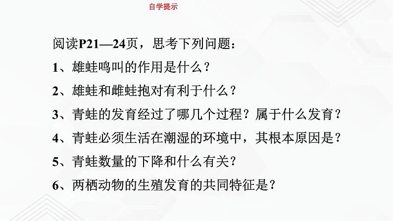 苏教版生物八年级下册 两栖类的生殖与发育 课件PPT03