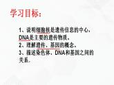 苏教版生物八年级下册 DNA是主要的遗传物质 课件PPT