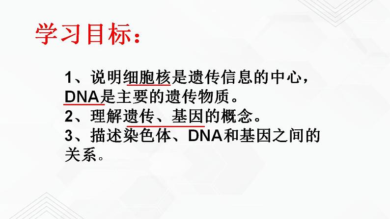 苏教版生物八年级下册 DNA是主要的遗传物质 课件PPT02