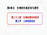 苏教版生物八年级下册 人的性别决定 课件PPT