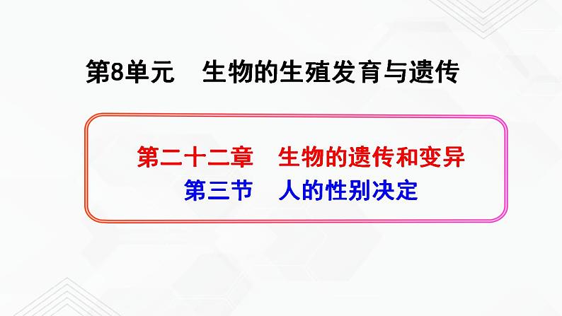 苏教版生物八年级下册 人的性别决定 课件PPT01