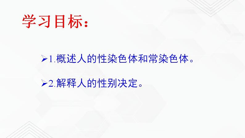 苏教版生物八年级下册 人的性别决定 课件PPT02