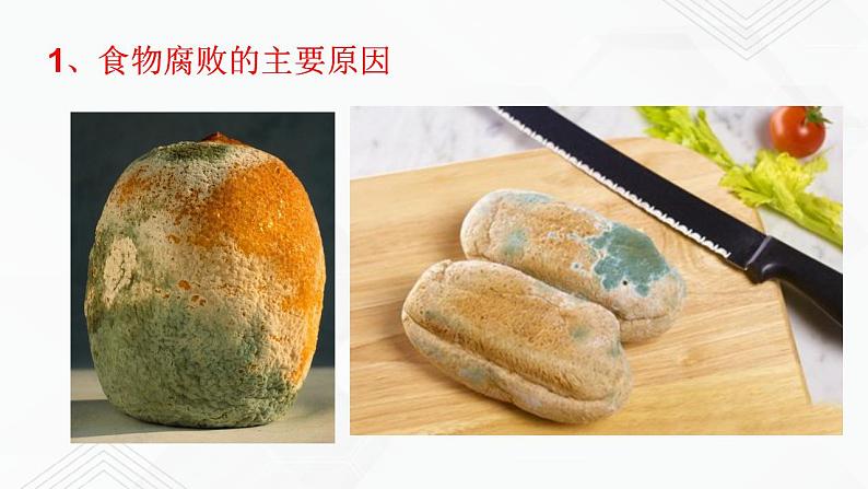 苏教版生物八年级下册  食品保存 课件PPT03