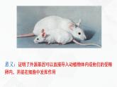 苏教版生物八年级下册 现代生物技术的应用 课件PPT