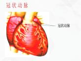 苏教版生物八年级下册 威胁健康的主要疾病 课件PPT