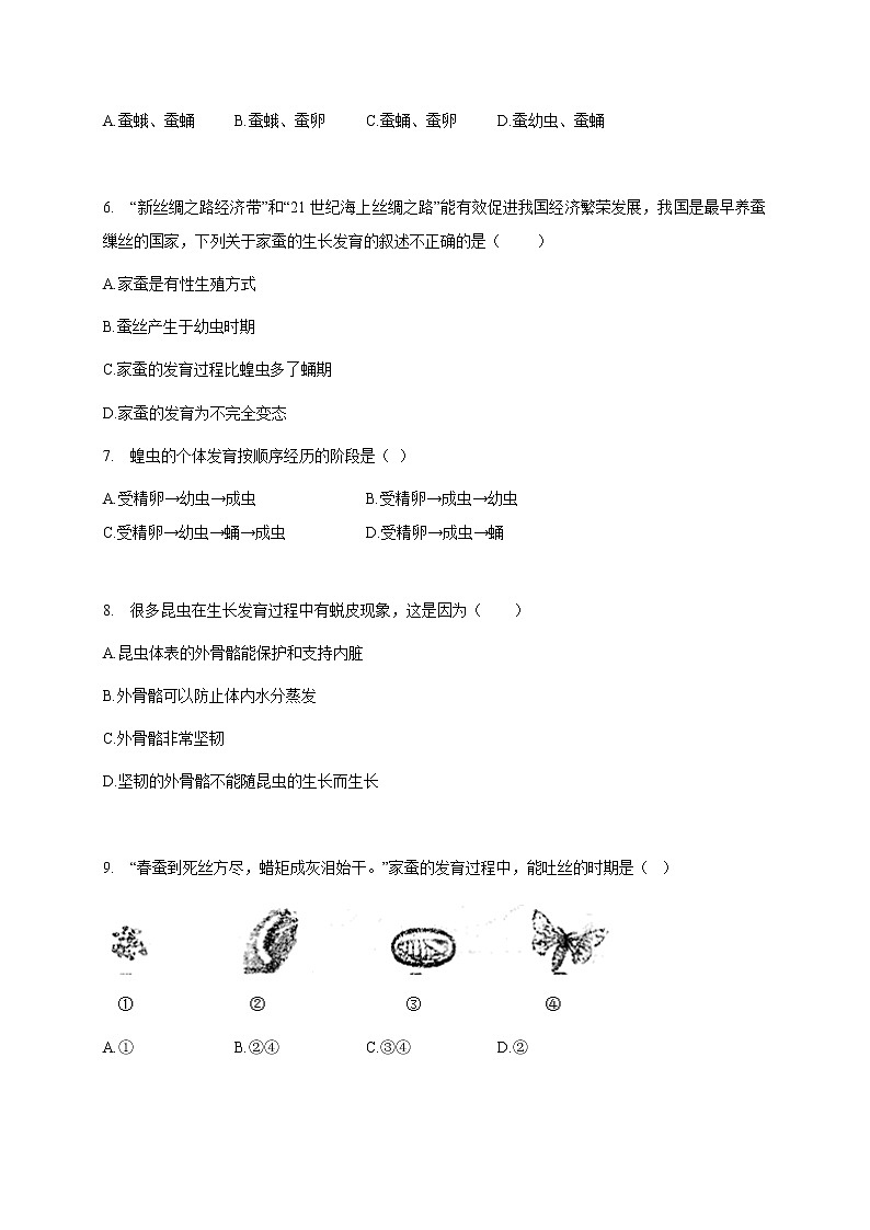 苏教版生物八年级下册 昆虫的生殖与发育 练习题02