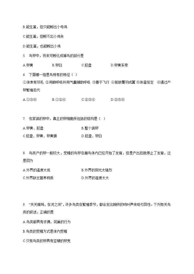 苏教版生物八年级下册 鸟类的生殖与发育 课件PPT02