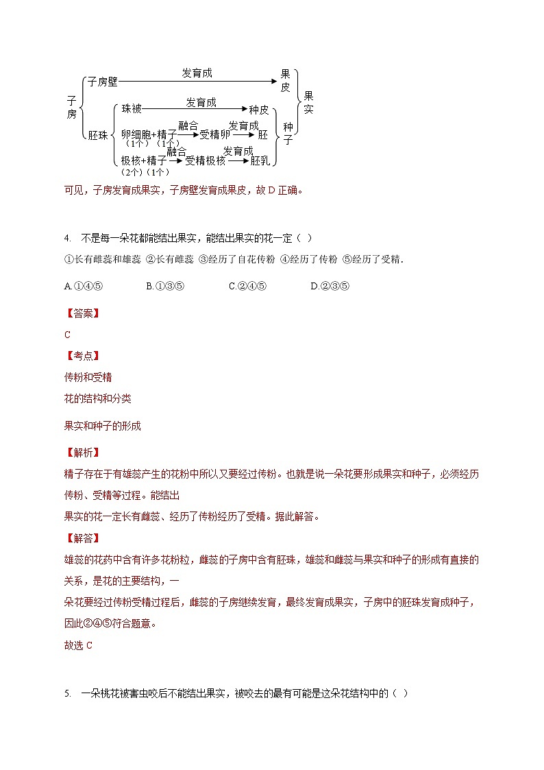 苏教版生物八年级下册 植物的有性生殖 作业 试卷练习03