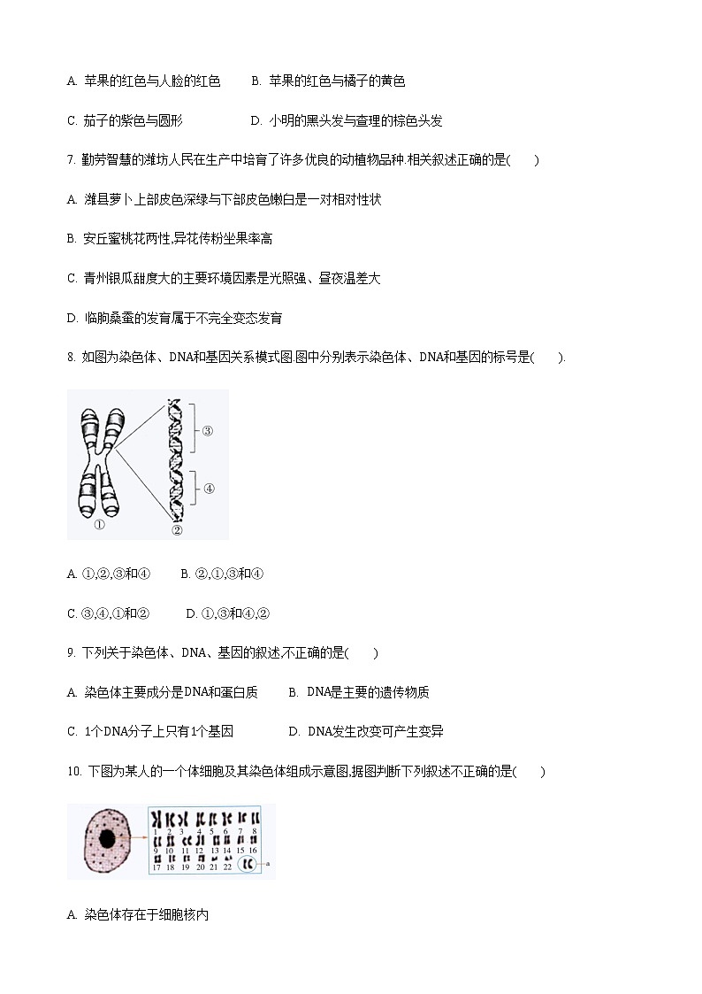 22.1 生物的遗传第1课时（练习）（原卷版）02