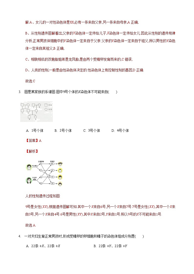 22.1 生物的遗传第3课时（练习）（解析版）02