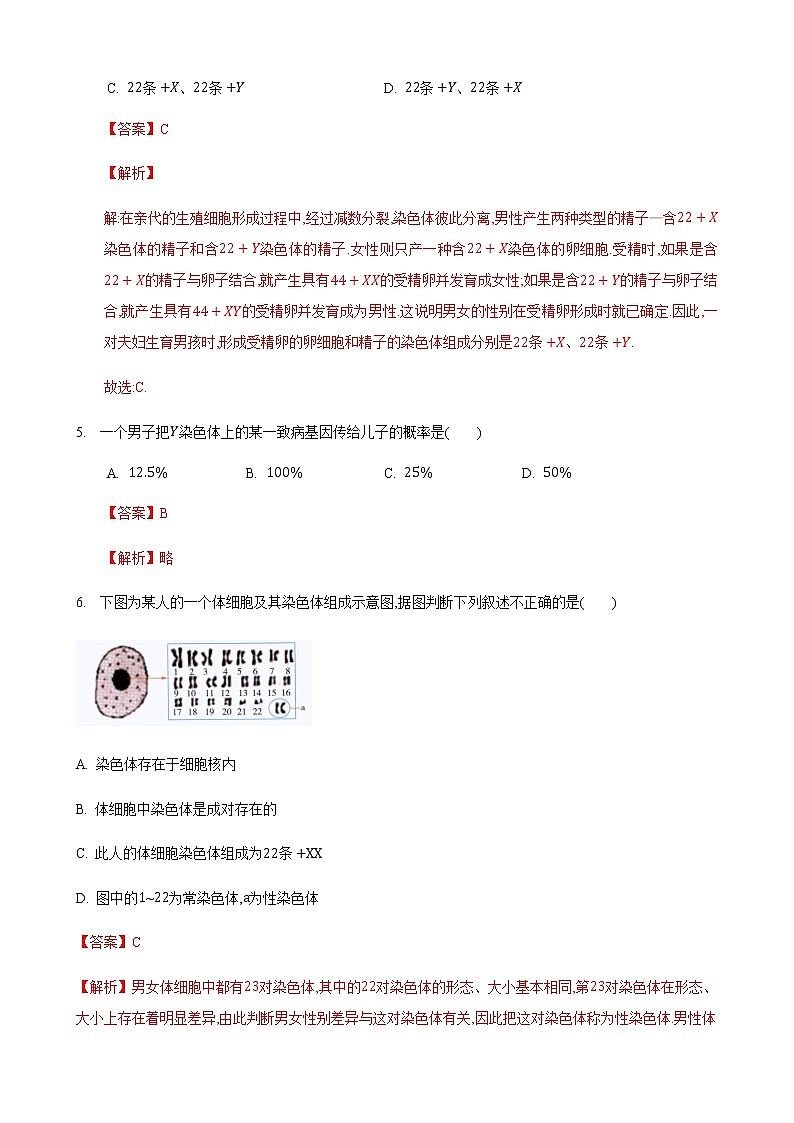 22.1 生物的遗传第3课时（练习）（解析版）03