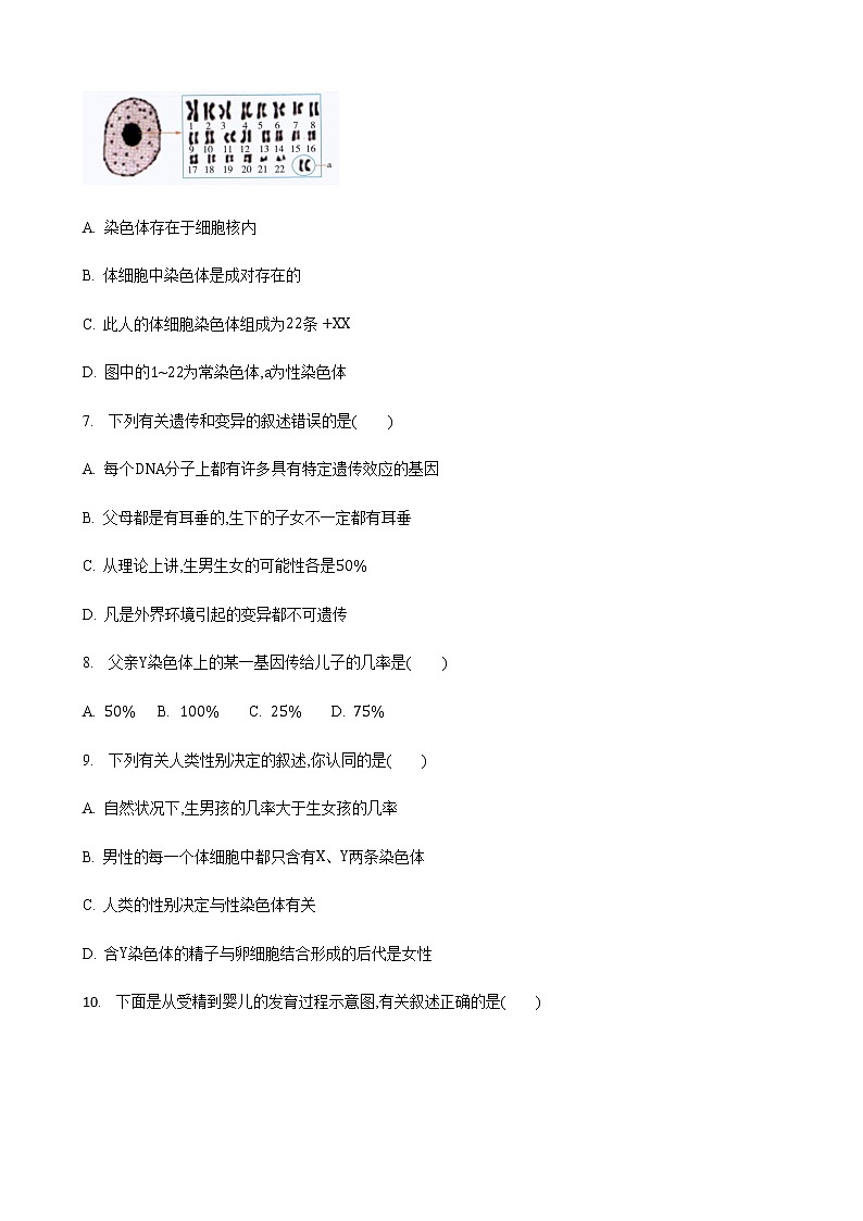 22.1 生物的遗传第3课时（练习）（原卷版）02