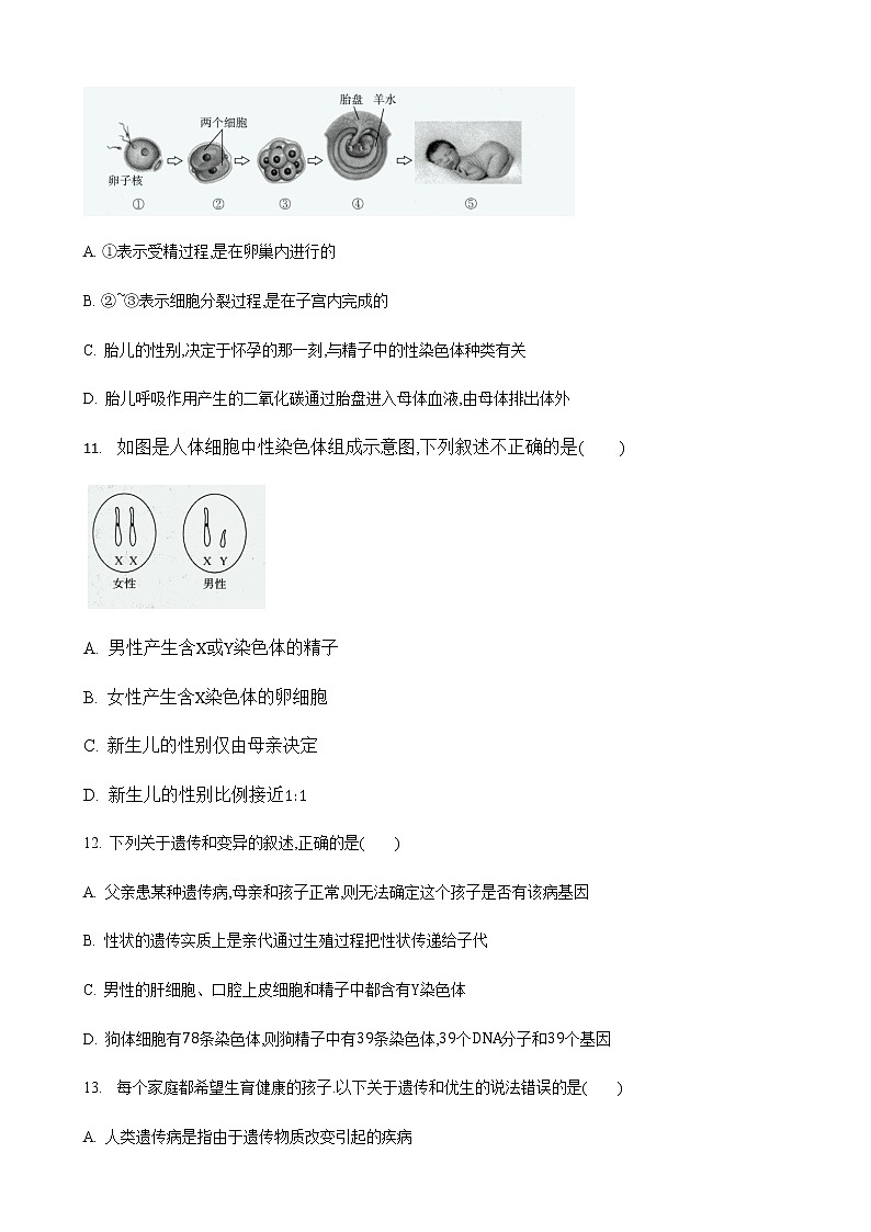 22.1 生物的遗传第3课时（练习）（原卷版）03