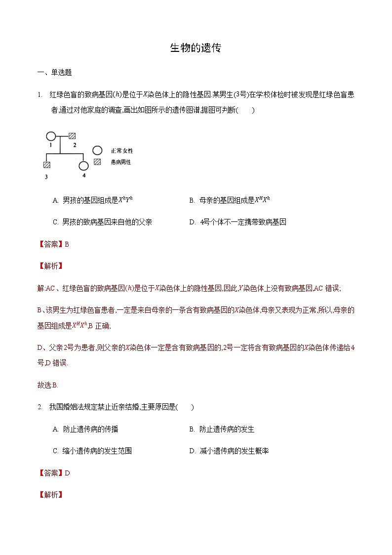 22.1 生物的遗传第4课时（练习）（解析版）01