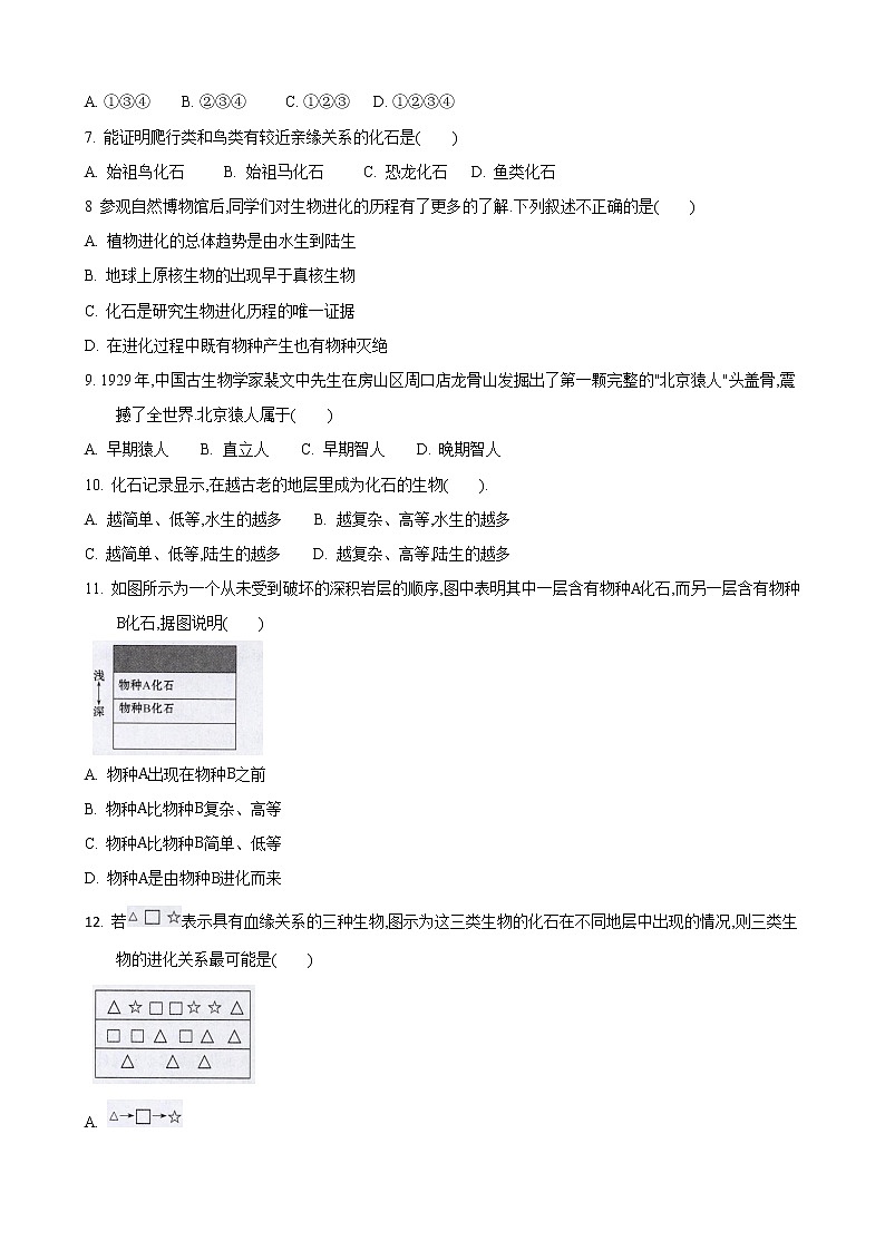 23.2 生物进化的历程第1课时（练习）（原卷版）02